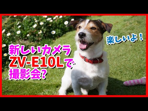 庭で遊びながら新しく購入したカメラで楽しく写真を撮りました