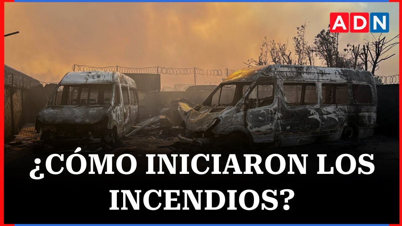 Concejala explica cómo fue el origen de los incendios forestales en la región de Biobío