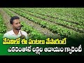 Summer Vegetables Farming techniques || Farmer Achyuth Reddy || High Profit Crops || SumanTV Rythu