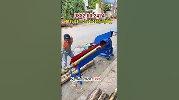Băm 4 tấn chuối 1 giờ không tốn công sức, thời gian, chi phí chỉ với dòng máy băm chuối công nghiệp