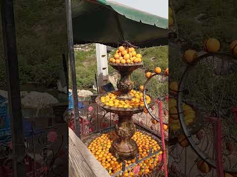 الجيلي  العريفي  القرميد رجعوني  المراره
