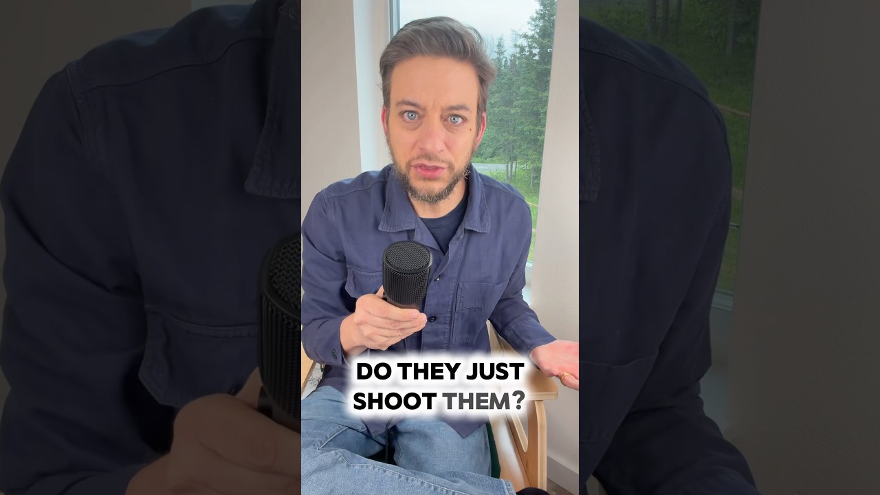 Zak George’s Dog Training Revolution