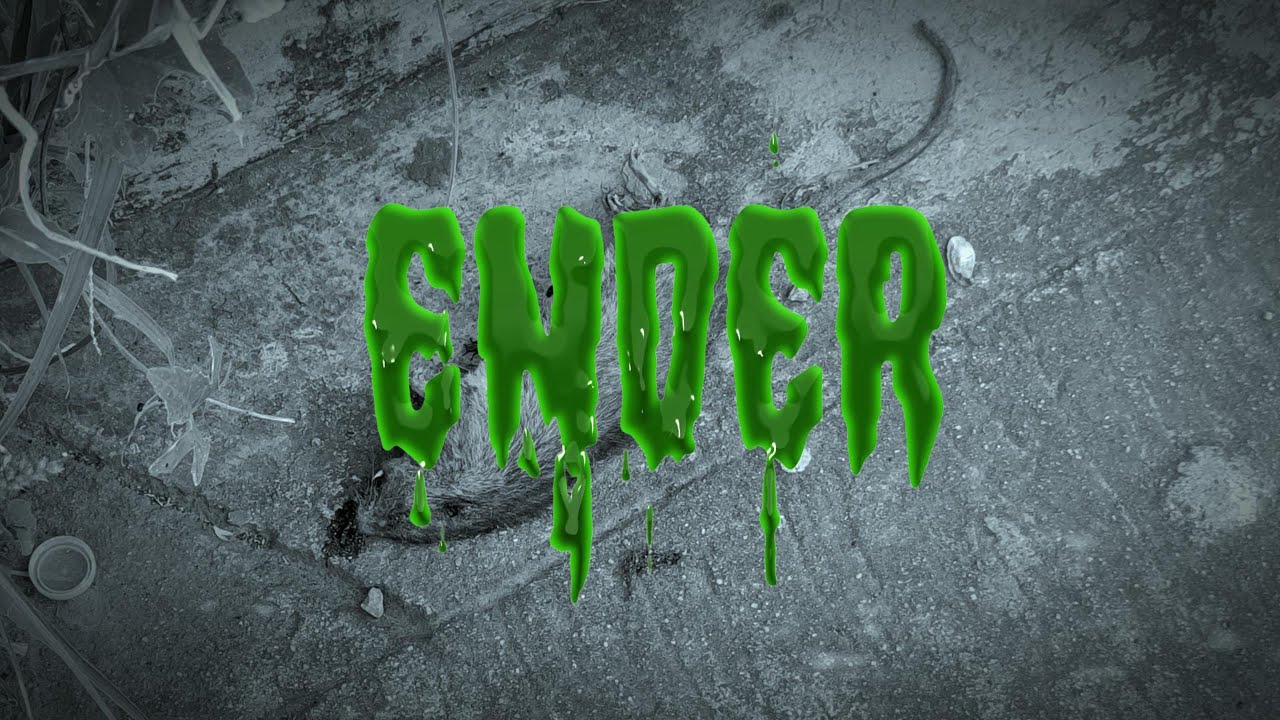 Rattle Project - "ENDER"