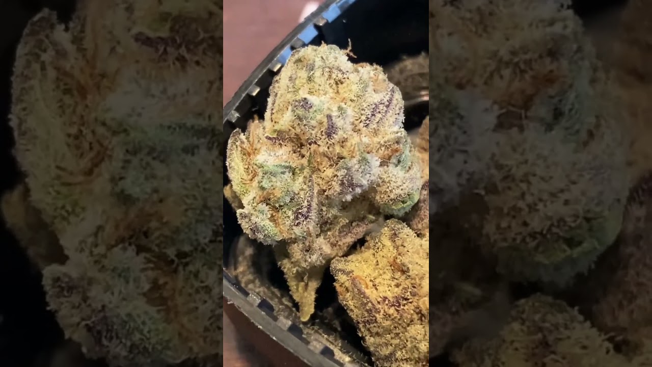 Grassroots banana papaya dry ass headless weed from the PA MMj prog