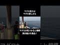 【相模湾でマグロ探し】キハダマグロを見つけなきゃ始まらない釣り #釣り #キハダマグロ #エビング #ふかせ釣り