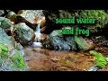 The song of the frog and the sound of water,refreshed the mind and calm the hearts of confusion.ASMR