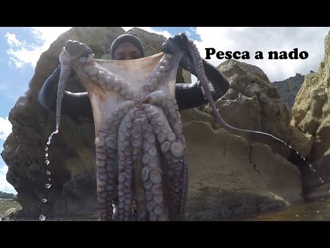Pesca Submarina Pulpos gigantes 15 kilos. #21