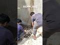Mesh fixing in RAS #fishing #aquaculture #fishfarming #vlog #seafood #agriculture #shorts #hardwork