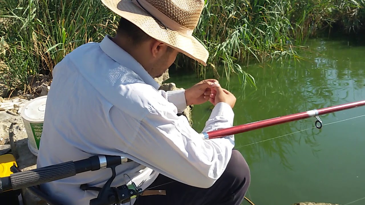 Qanlı golde balıq ovu 2 ci hisse