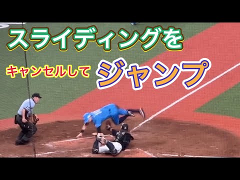 【スローモーションあり】決まっていれば神技！惜しすぎるマーク・ペイトンの〝八艘飛び〟ホームインチャレンジ【西武vsオリックス】2023/8/5