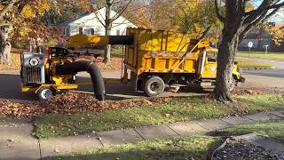 Leaf vacuum