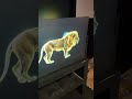 720p projector only tests 2027 SFEG Transparent FLEX screens  demo
