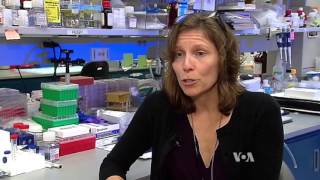Promising New Therapies in the Fight Against Cancer