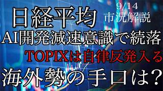 9/14 [Nikkei Average] Continues to Fall on AI Development Slowdown Concerns! TOPIX Sees a Rebound...