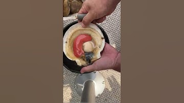 The Shucking.. (Boston Scallops)