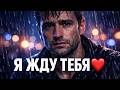 Я Всё Ещё Жду Тебя I Still Wait For You