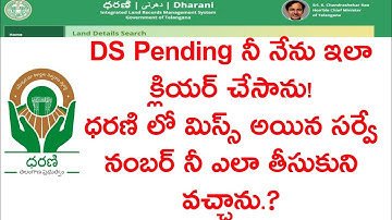 DS PENDING DHARANI PORTAL|MISSING SURVEY NUMBER PROBLEM SOLUTIONS