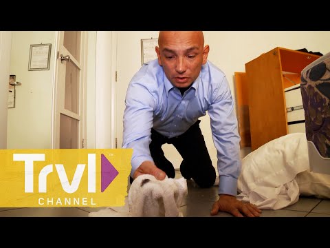 "Disgusting!" Hotel Room From Hell | Hotel Impossible | Travel Channel