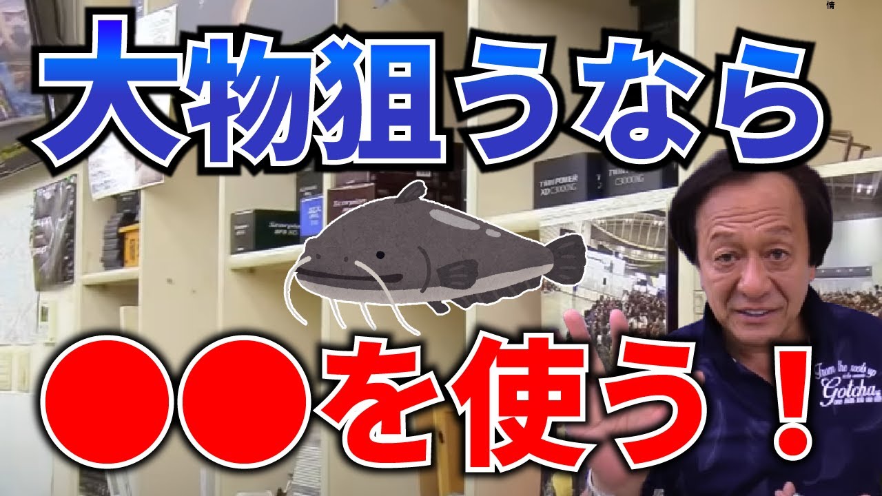 ビワコオオナマズのタックルを解説【村田基/ジム公認チャンネル】