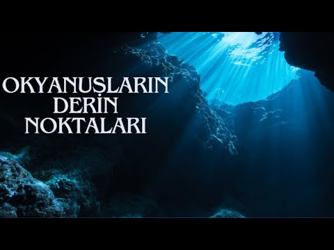 Video: Karib dengizidagi yanvar: ob-havo va voqealar boʻyicha qoʻllanma