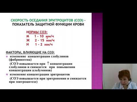 Нормальная физиология 8.Защитные функции крови. Лейкоциты. Гемостаз