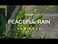 10 Hour | Gentle Spring Rain Sounds · April Showers · White Noise for Sleep · Meditation · Focus