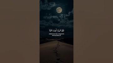 اكتب شيء تؤجر عليه 😴💚 قران كريم | عبد الباسط