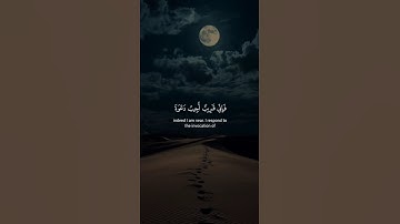 اكتب شيء تؤجر عليه 😴💚 قران كريم | عبد الباسط