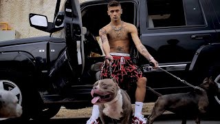 Çakal Metin2 Yang Satışı #shorts #metin2 #çakalmetin2