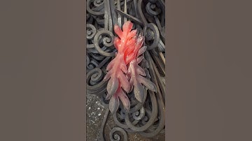 Steel Meets Fury – Blacksmithing in Full Force! 🔥💪