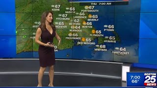 Shiri Spear low cut dress 081723