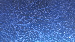 Crystal Color Effect On Any Surface