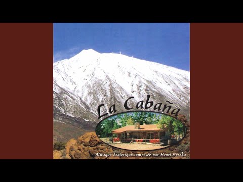 Ver Wings en YouTube Ver Wings en YouTube