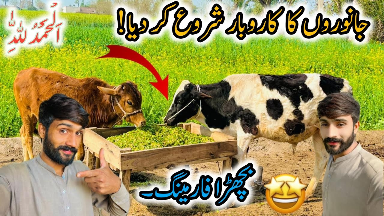 Alhmdulilla Janwaron Ka Karobar Start Kar Dia🤩