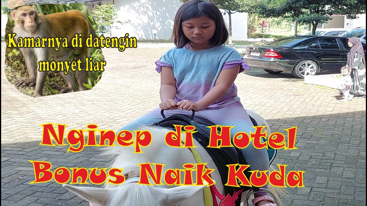Nginep di Hotel Sangkan Park Kuningan, liburan murah meriah || Bonus Naik Kuda