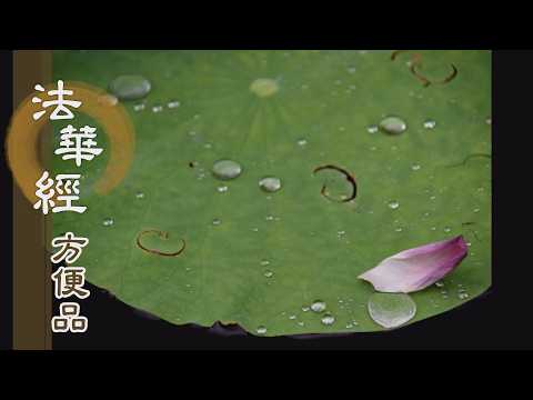 【靜思妙蓮華】法華經方便品第二 - 深植大信 斷疑契悟 - 第244集｜共修版