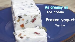 Homemade creamy dried fruits frozen Yogurt Terrine