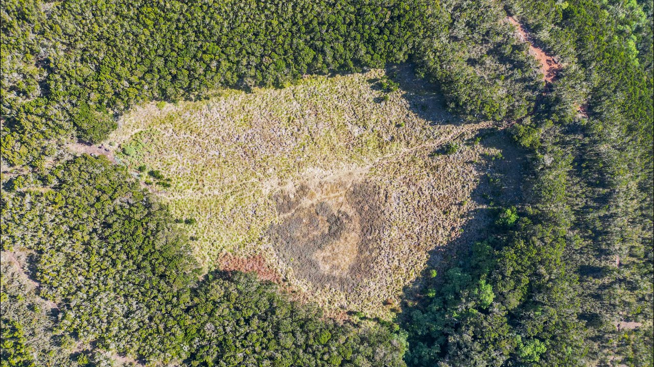 MANDARA HUT DAY TRIP