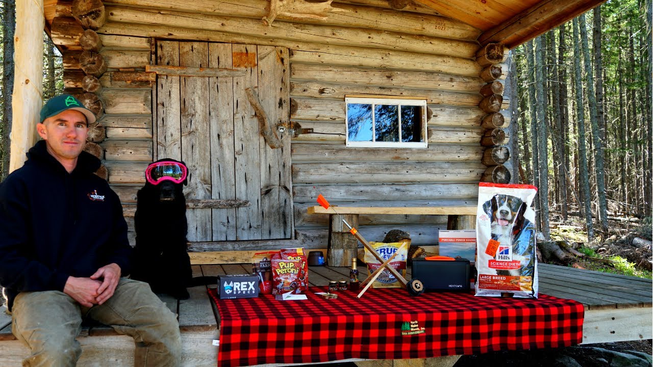 Return to the Cabin at 9 Mile | Opening Mail and Life Update