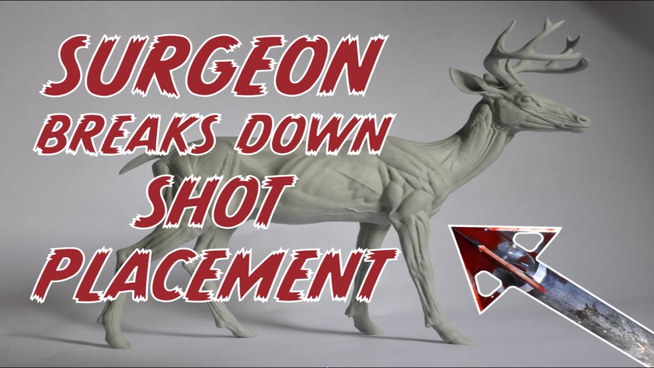 Learn the science of shot placement from a surgeon!