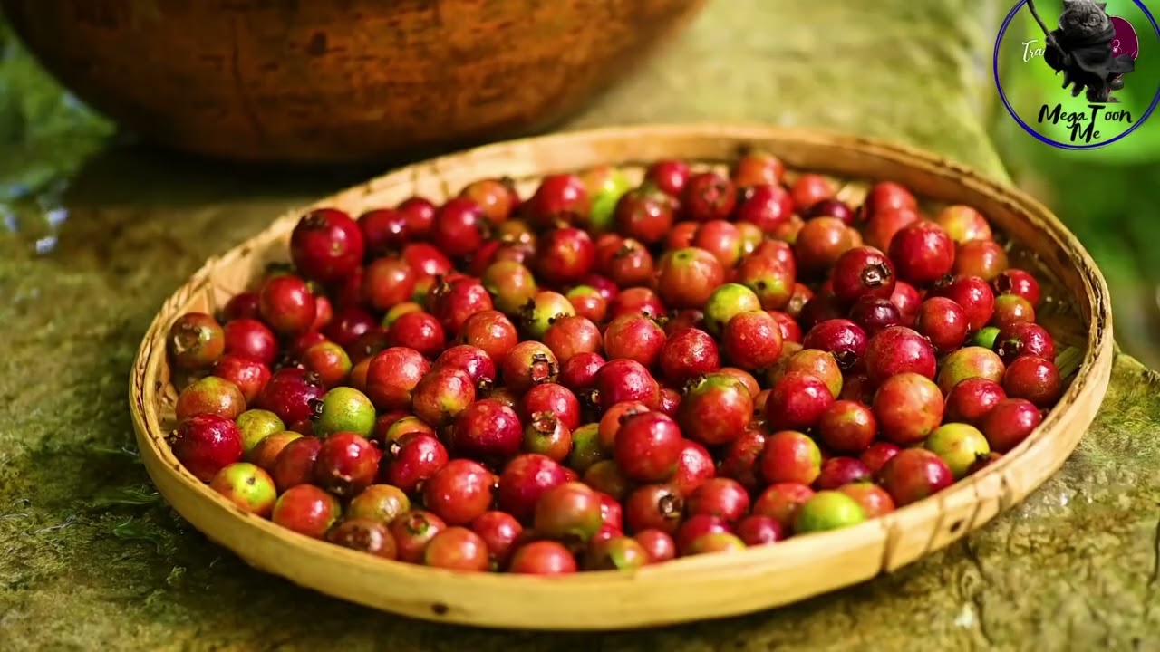 The village girl is making a delicious dessert with cherry guava.