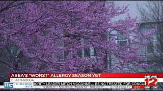 Allergy season lengthens with an all time high pollen count