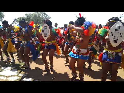 Team Vuselela Amasiko kaMhlaba uyalingana