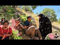 Nomadic Life Every Handful Of Fodder One Step Towards Getting Through The Harsh Winter 