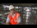 A Career in Commercial Construction (JTJS32008)