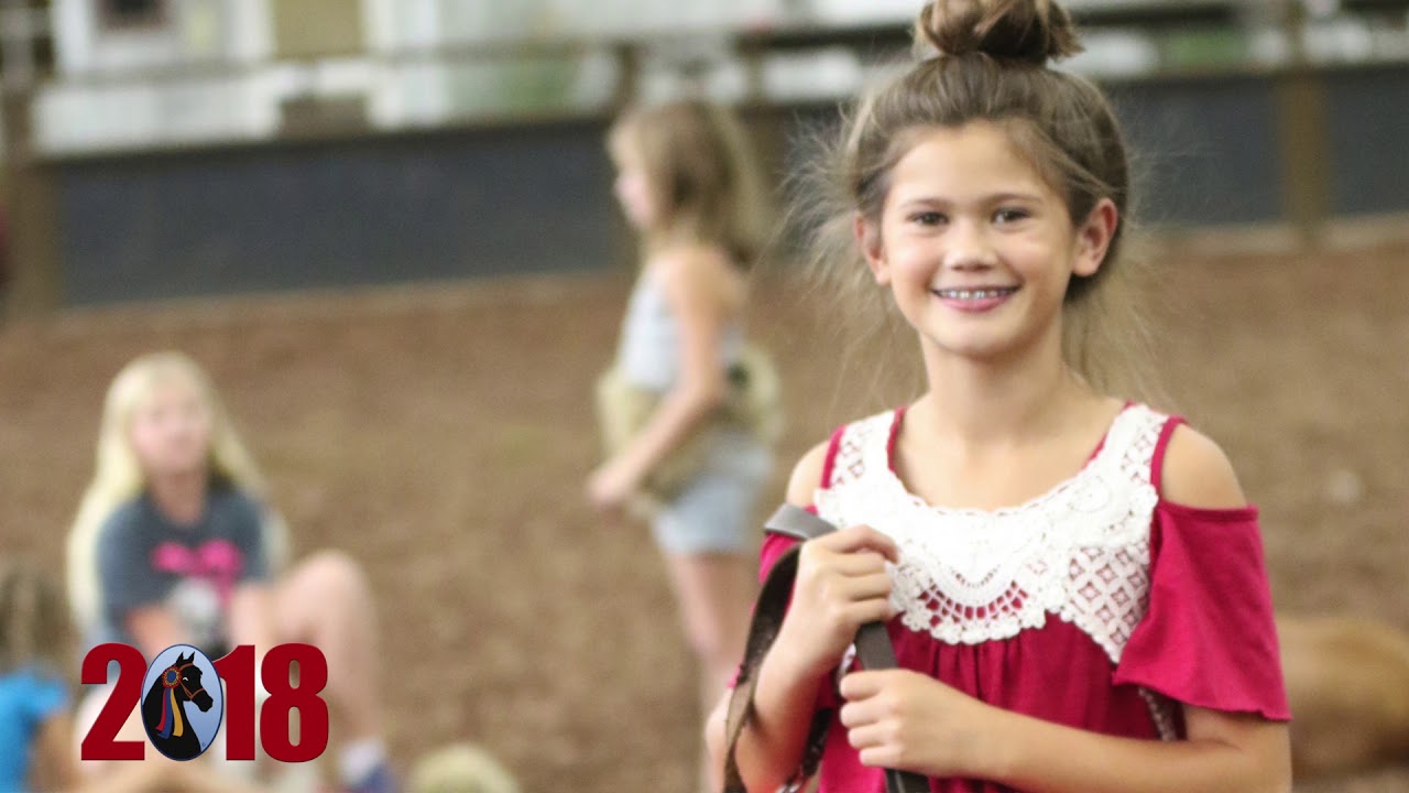 Grand National & World Championship Morgan Horse Show®