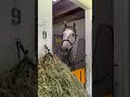 Breakfast date with West Saratoga 🍽️. #breakfast #asmr #kyderby