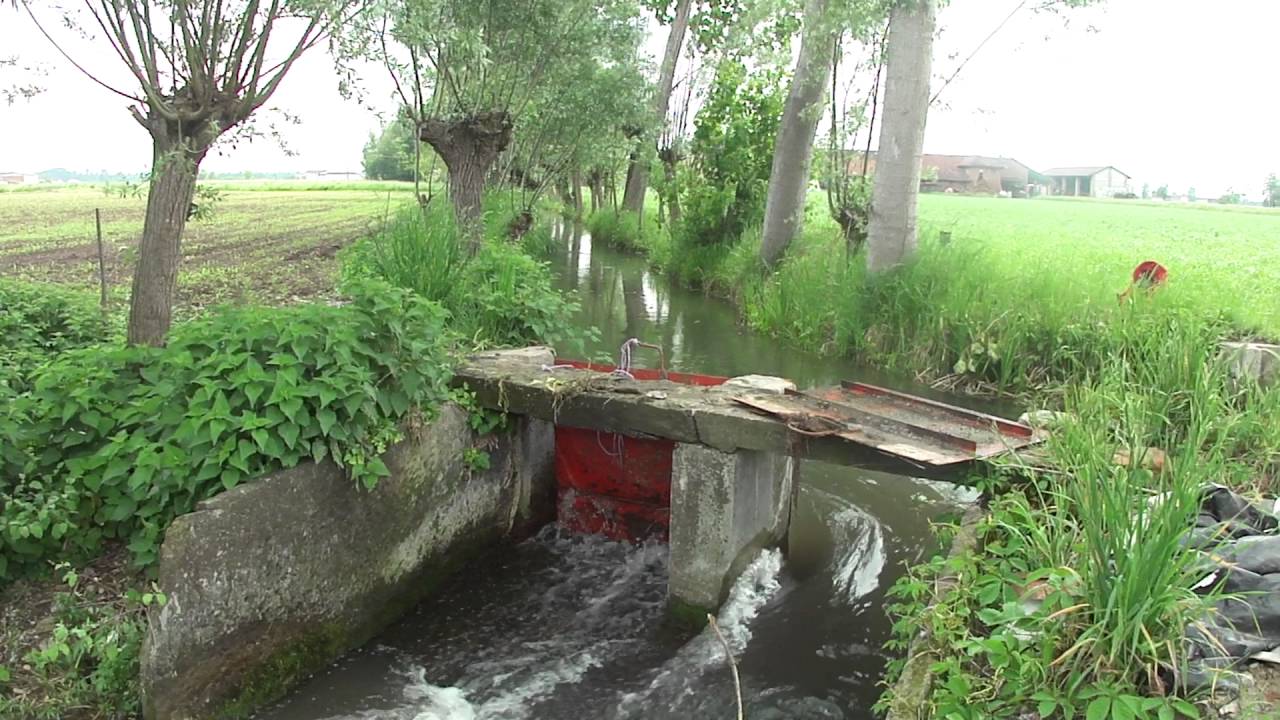 verifica empirica deflusso minimo vitale   bergese geologo bertagnin