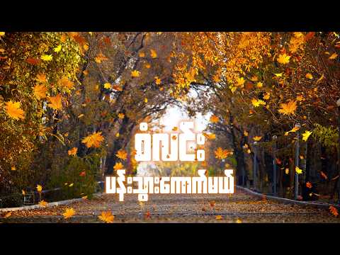 စံလင်း - ပန်းသွားကောက်မယ် [ Lyric Video ]