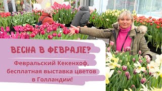 Не нужно ждать весны! Февральский Кёкенхоф, бесплатная выставка цветов в Голландии.